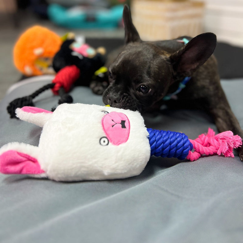 Dog Days Llama with Rope Legs Dog Toy with Squeaker