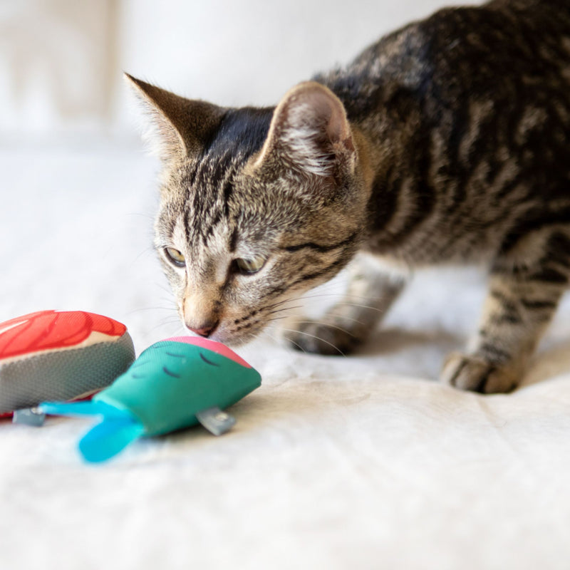 Cat’s Life Kittie Fishies Plush Catnip Toy Combo