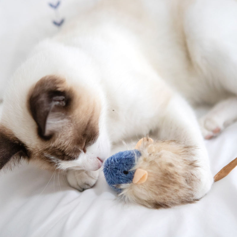 Cat’s Life Squeaky Mouse Plush Catnip Toy for Cats