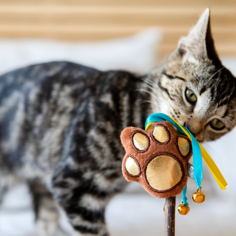 Cat’s Life Indie Paw Plush Catnip Wand Toy