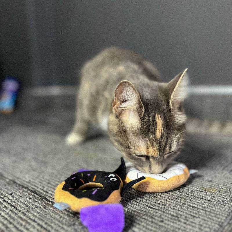 Cat’s Life Scary Bat & Mummy Donuts Plush Toy Combo