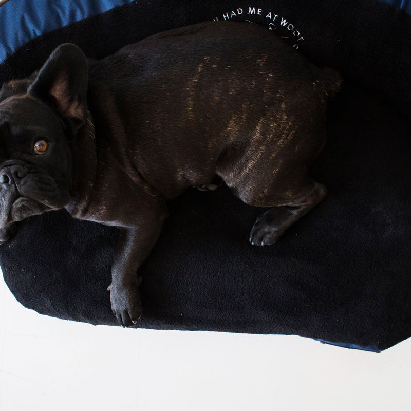 Dog’s Life Slumber Sofa Bed