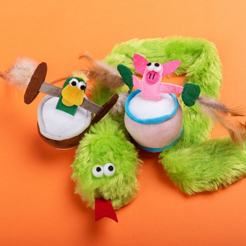 Cat’s Life Funny Pig with Feather