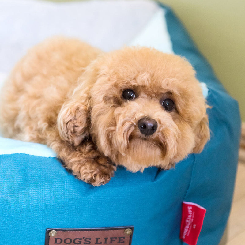 Dog's Life Summer Vintage Lounger Bed
