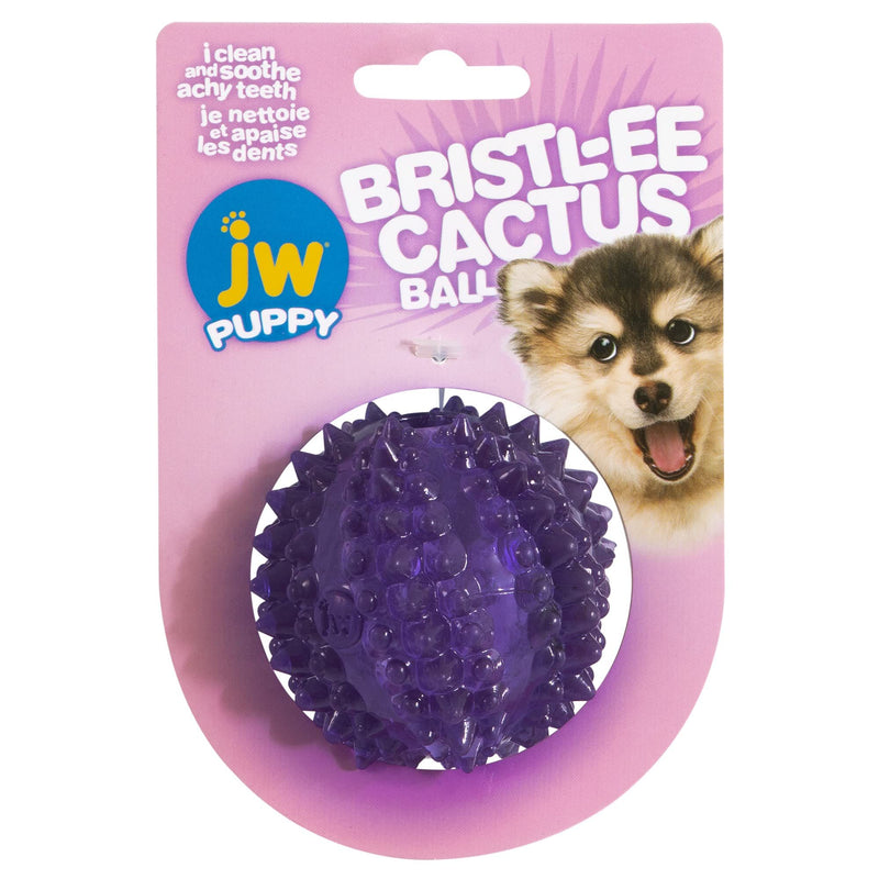 JW Pet Puppy Bristl-ee Cactus Ball Teething Toy