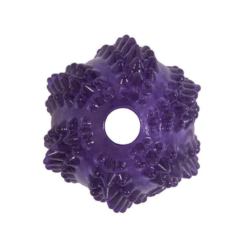 JW Pet Puppy Bristl-ee Cactus Ball Teething Toy