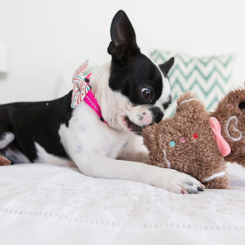 Dog's Life Supersoft Designer Webbing Comfortable & Reflective Dog Collar