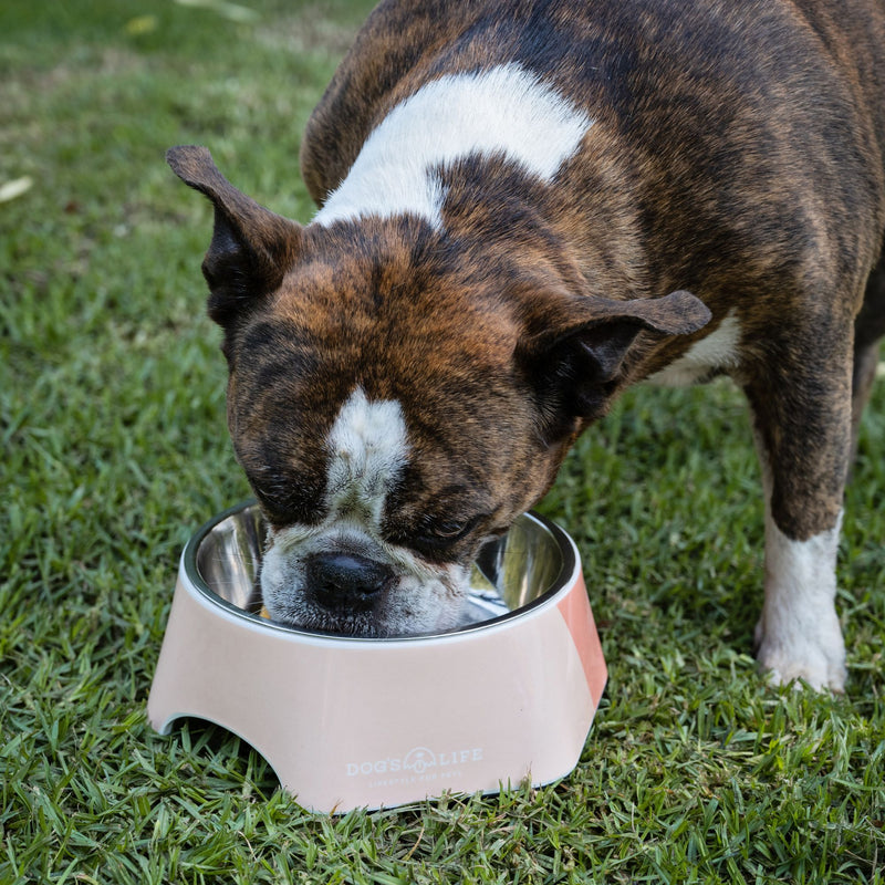 Dog's Life Stainless Steel Melamine Dog & Cat Bowl