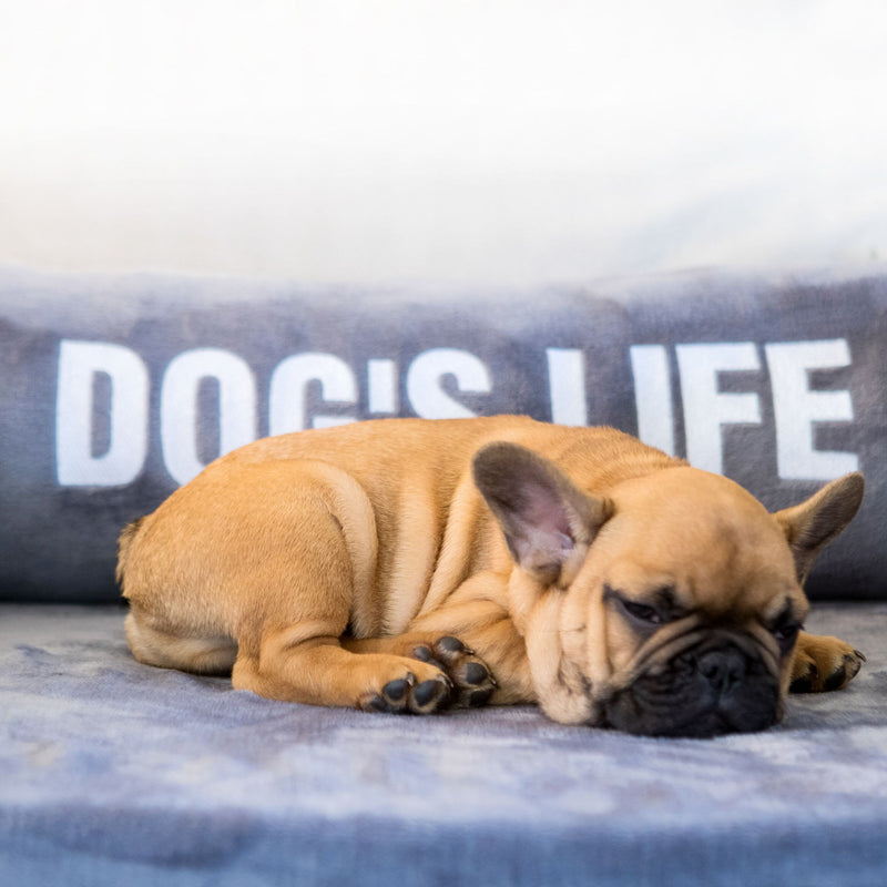 Dog’s Life Explorer Sofa Pet Cover