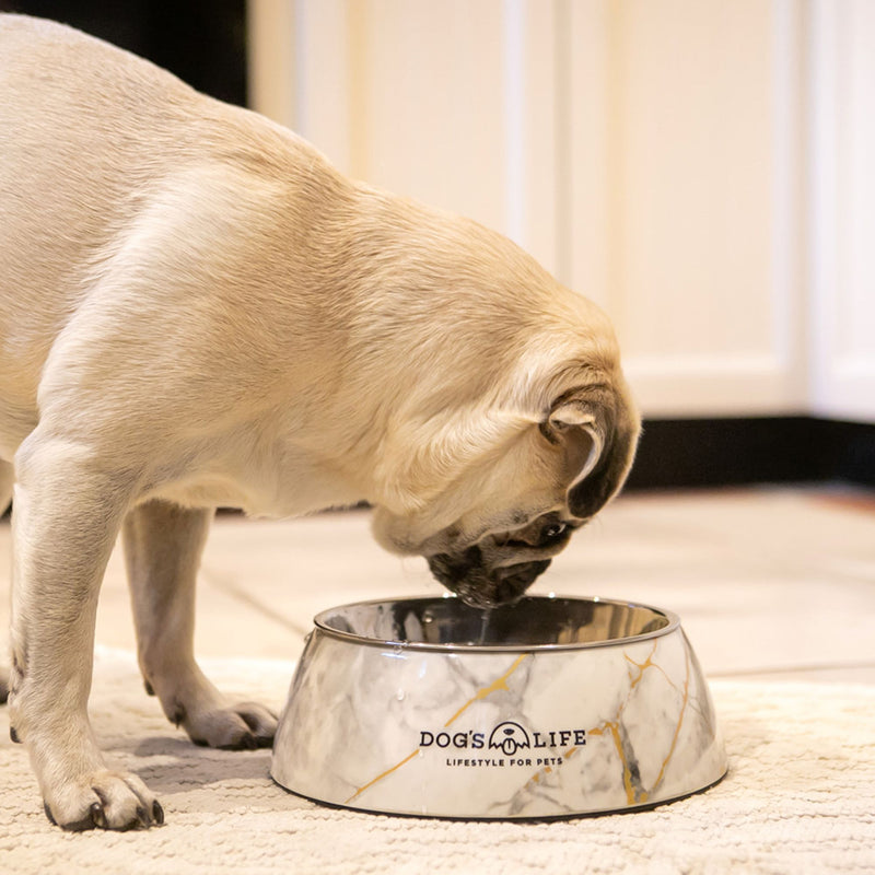 Dog's Life Stainless Steel Melamine Dog & Cat Bowl
