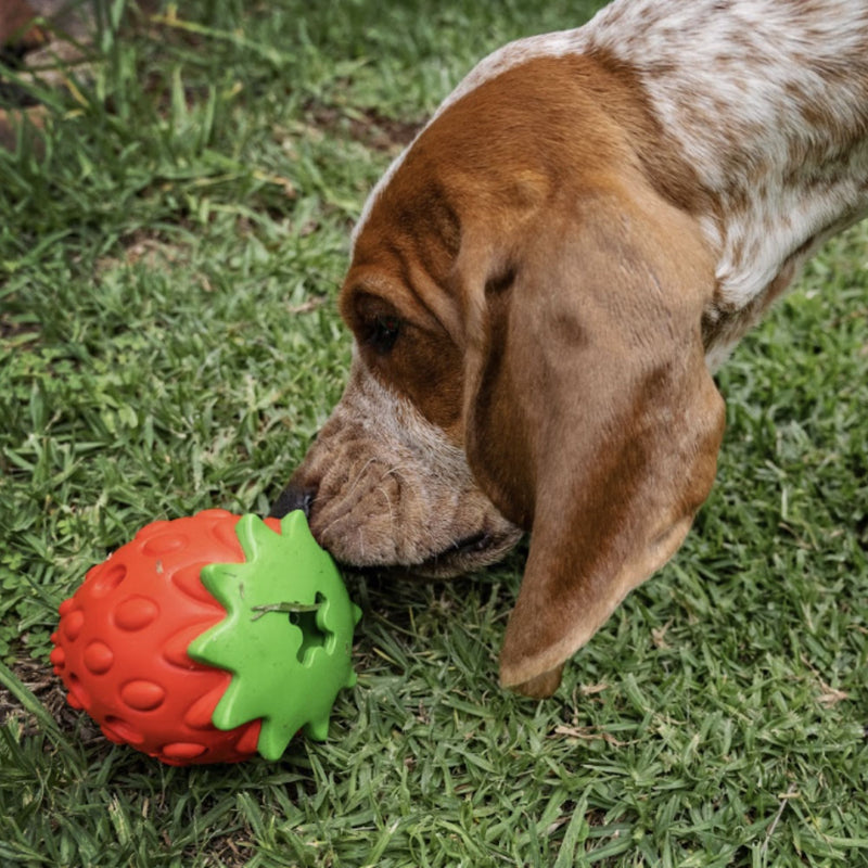 Zugo Zuberry Rubber Toy