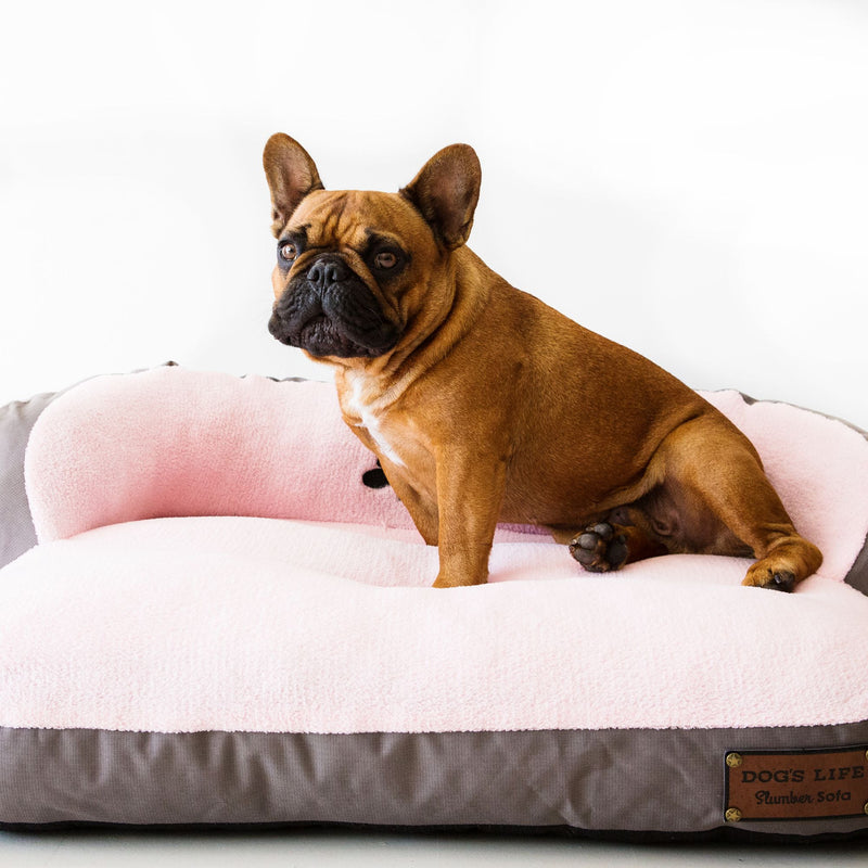 Dog’s Life Slumber Sofa Bed