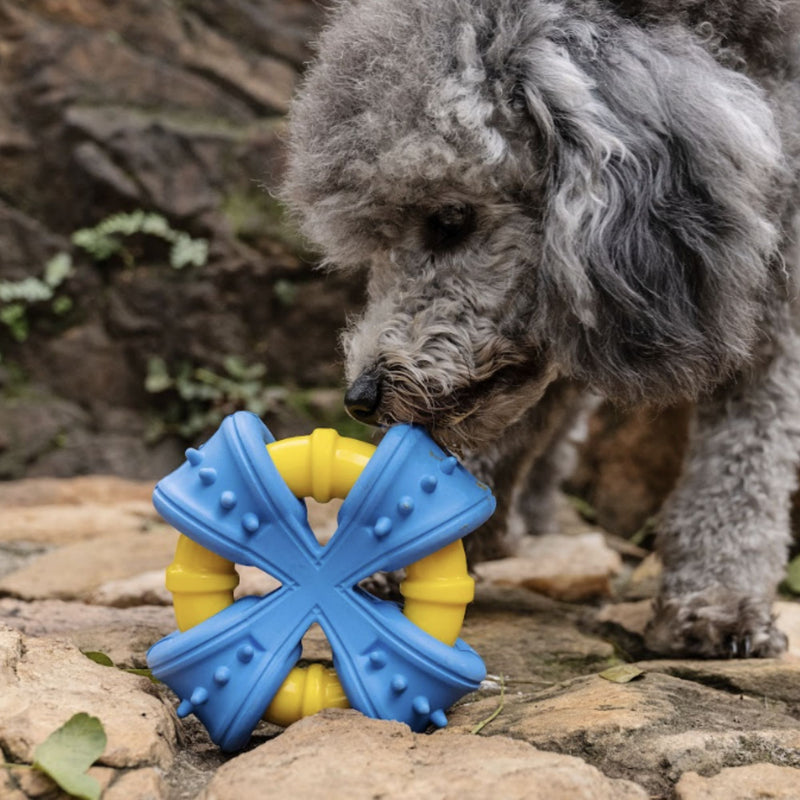 Zugo Biteblast Rubber Toy