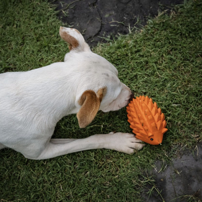 Zugo Zuhog Rubber Toy