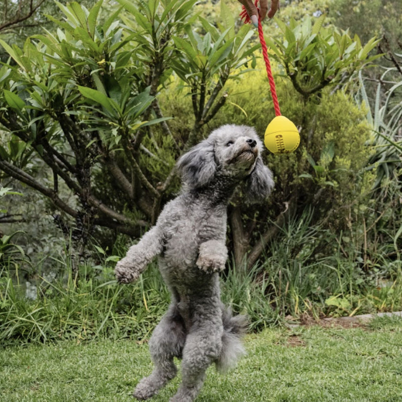 Zugo Tugball Rubber Toy
