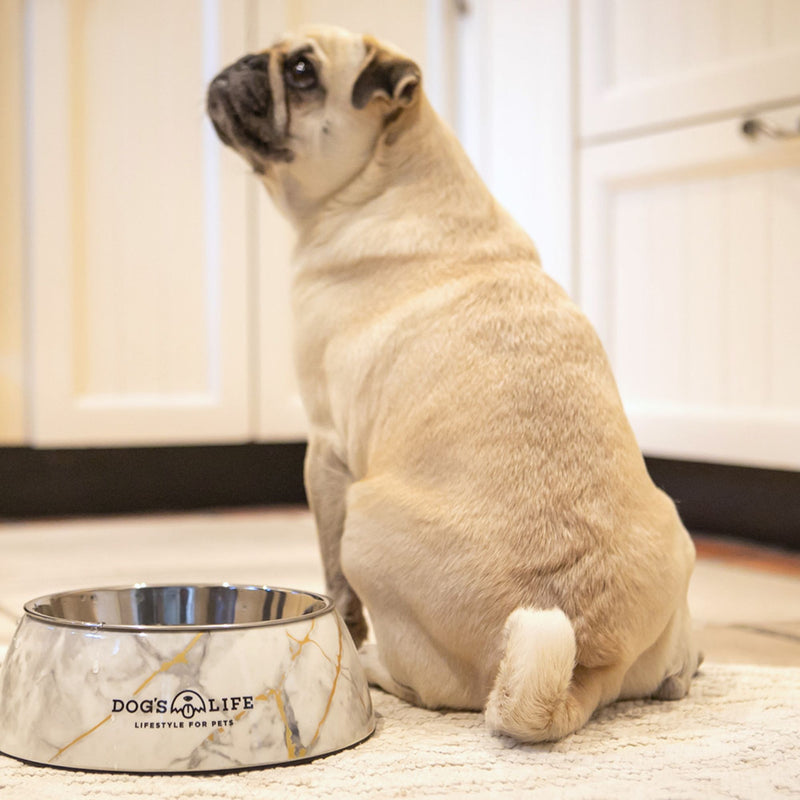 Dog's Life Stainless Steel Melamine Dog & Cat Bowl