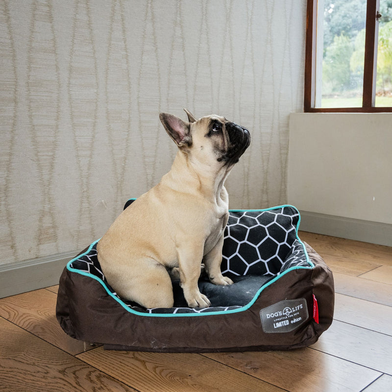 Dog’s Life Couch Napper Dog Bed