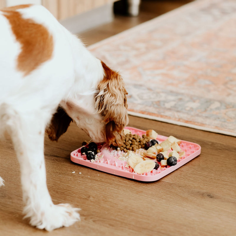 Dog's Life Lickalot OOXX Slow Feed Enrichment Mat for Dogs