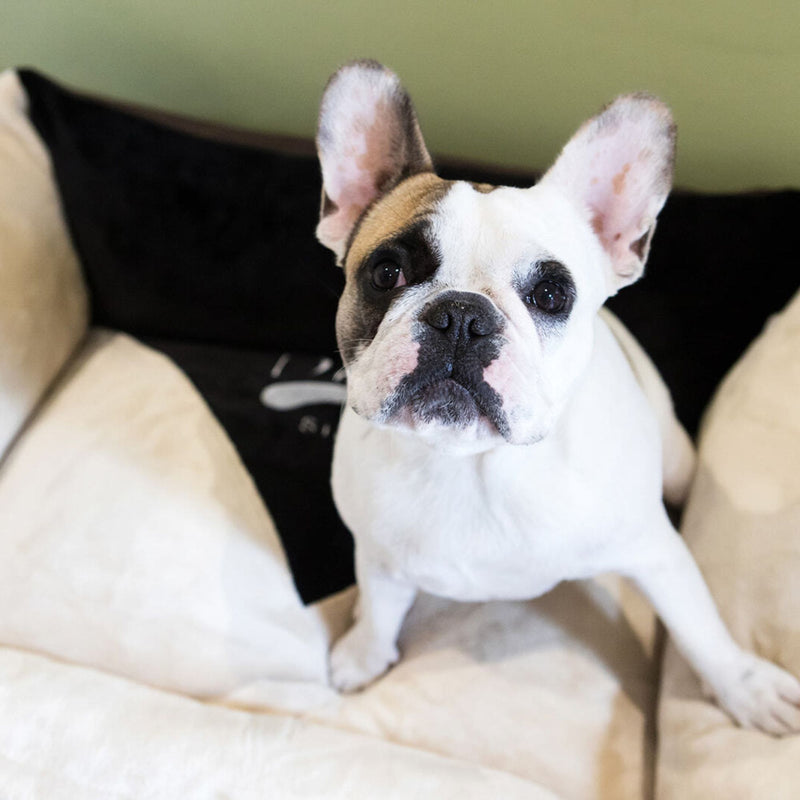 Dog's Life Winter Vintage Lounger Bed