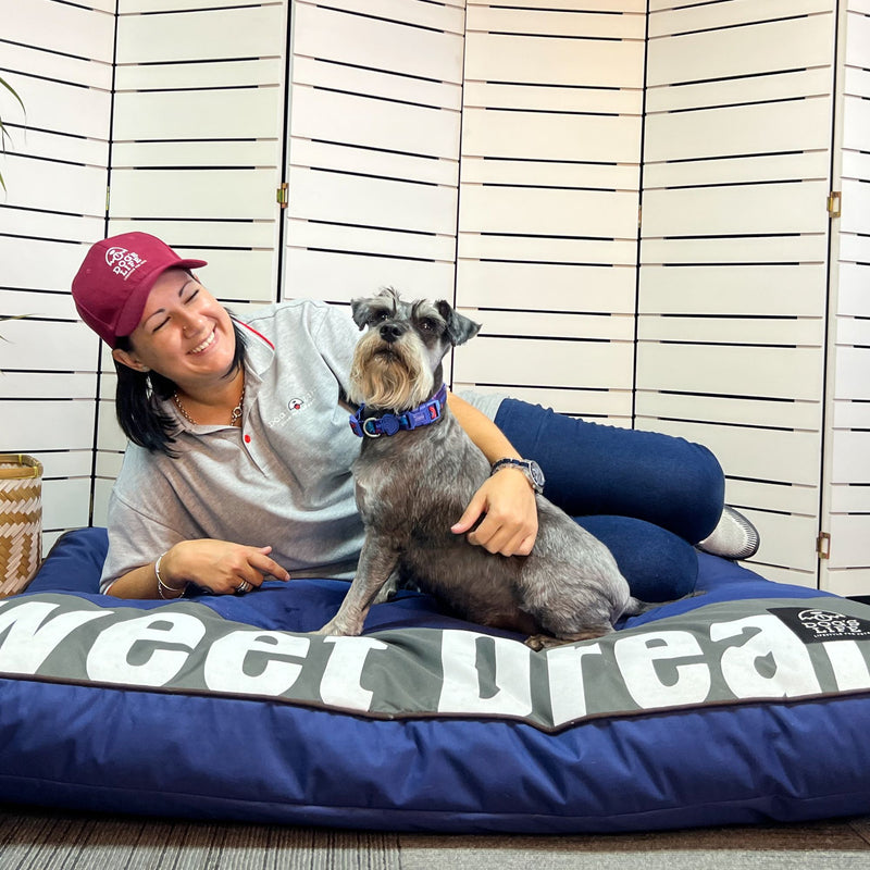 Dog's Life Sweet Dreams Pillow Dog Bed
