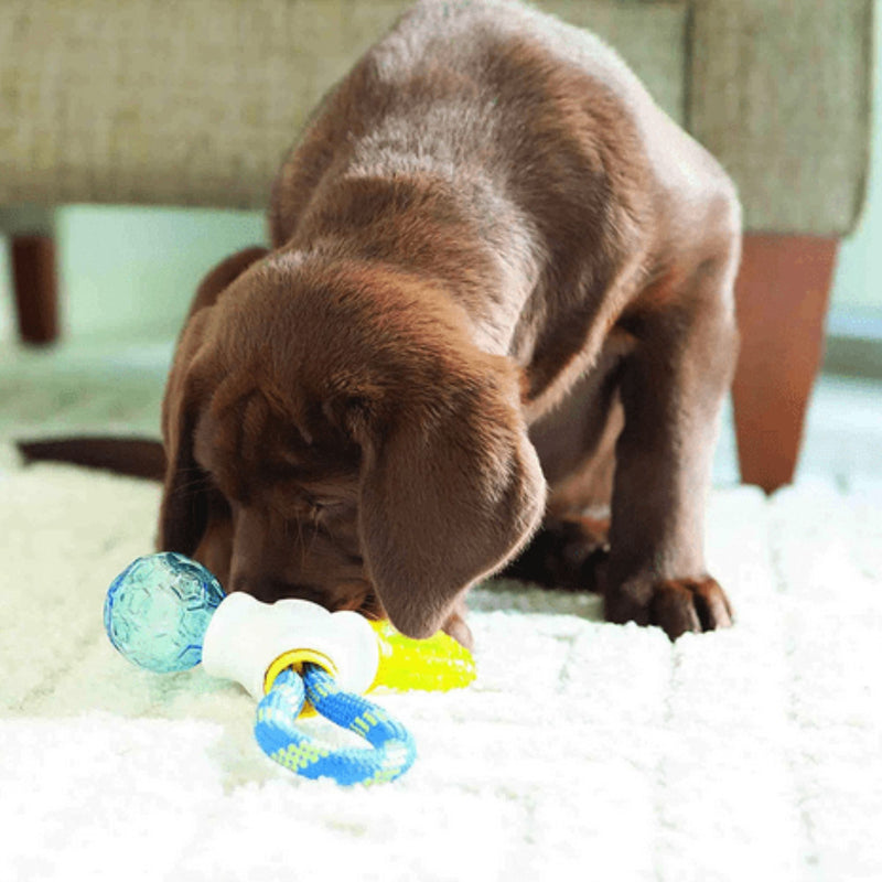 JW Pet Puppy Connects Interactive Chew & Teething Toy