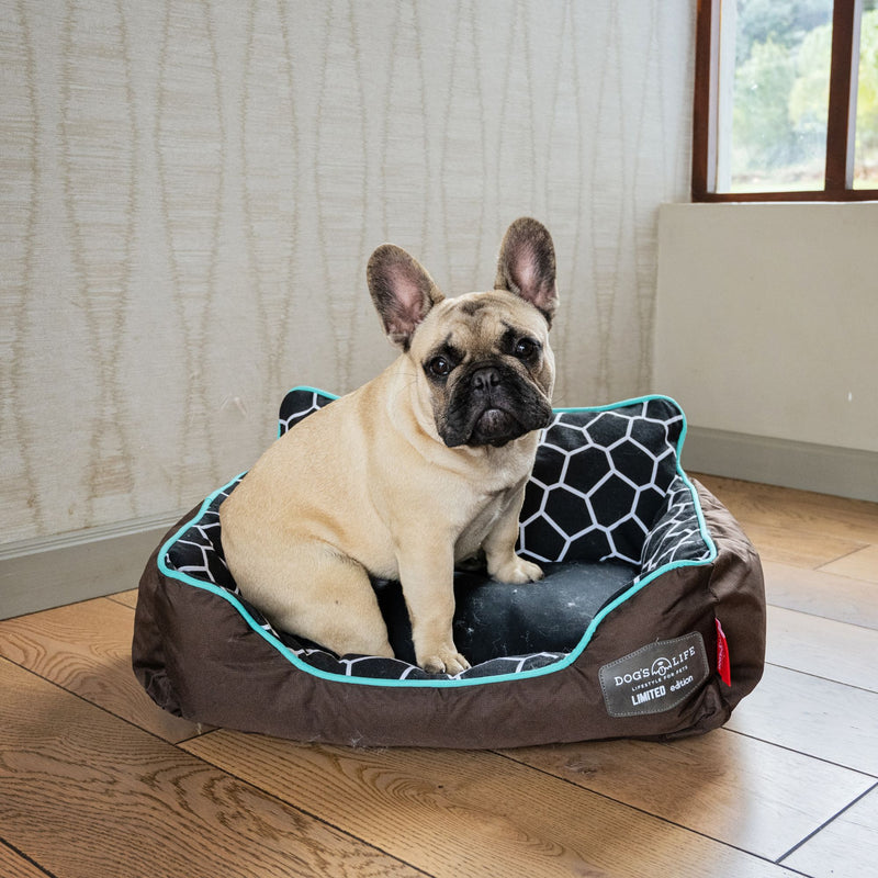 Dog’s Life Couch Napper Dog Bed