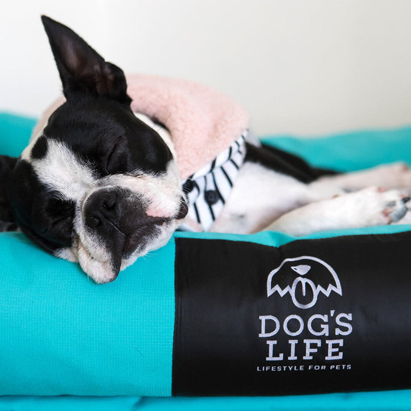 Dog’s Life Urban Lounger Dog Bed – Waterproof & Removable Cover