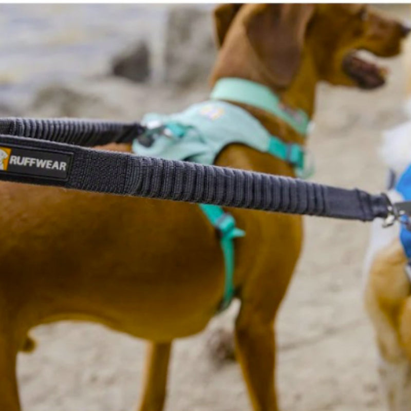 Ruffwear Double Track Coupler Two-Dog Leash Adapter