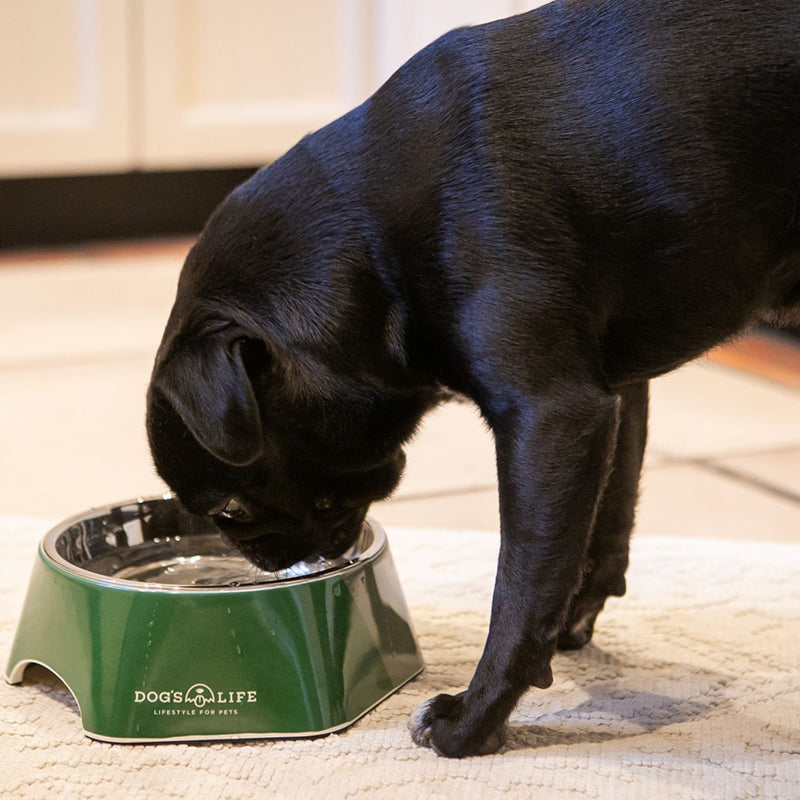 Dog's Life Stainless Steel Melamine Dog & Cat Bowl