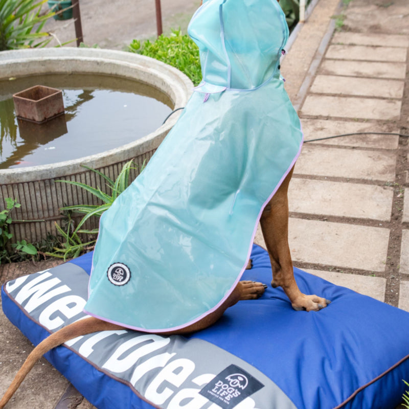 Dog's Life Sweet Dreams Pillow Dog Bed