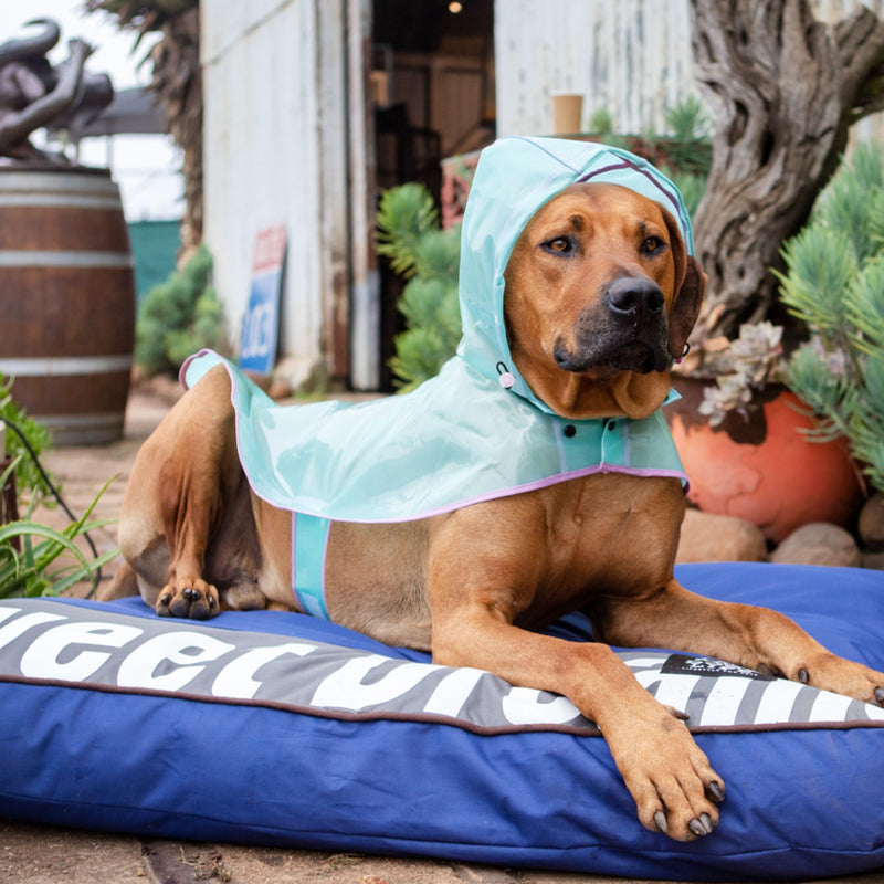 Dog's Life Sweet Dreams Pillow Dog Bed