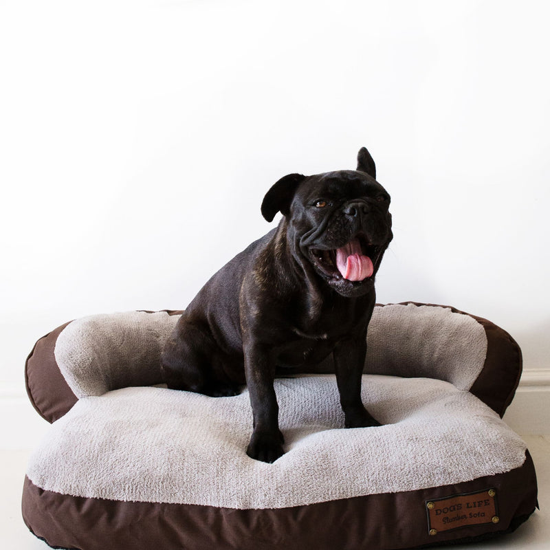 Dog’s Life Slumber Sofa Bed