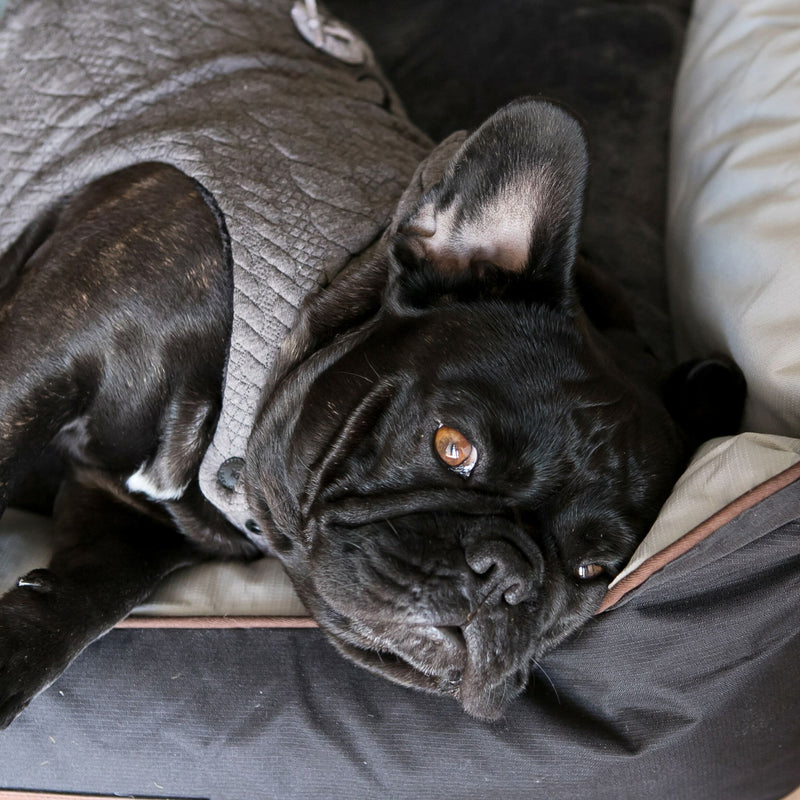 Dog's Life Premium Country Dog Bed