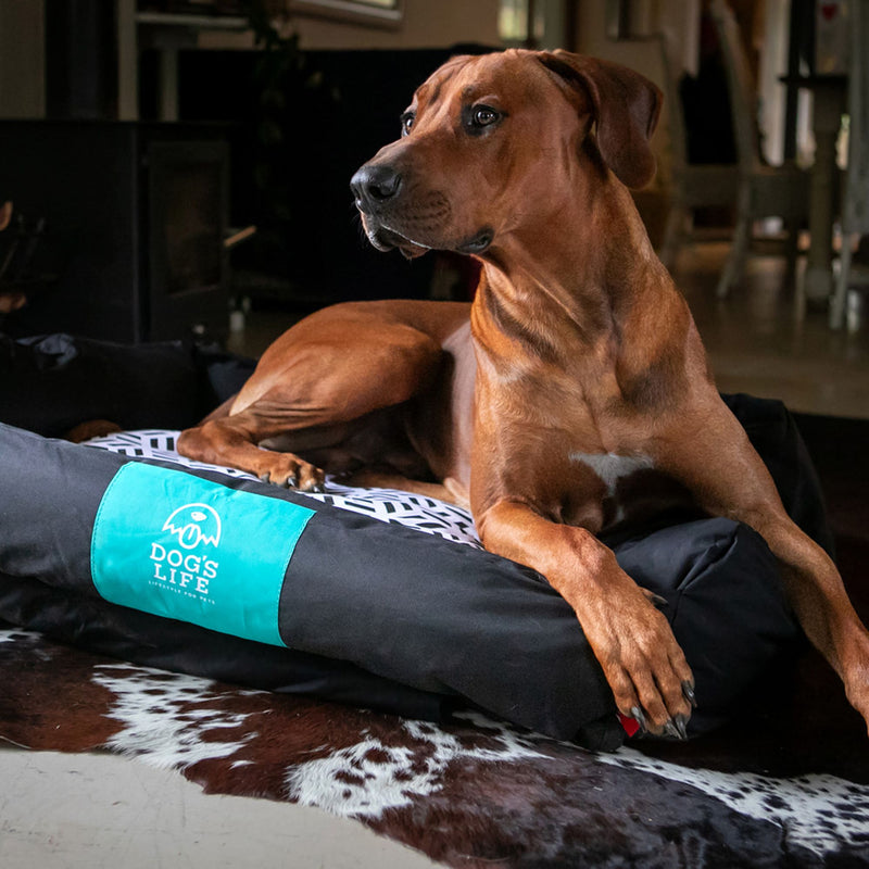 Dog’s Life Urban Lounger Dog Bed – Waterproof & Removable Cover
