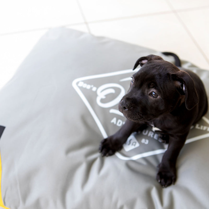 Dog's Life Outdoor Adventures Dog Pillow Bed