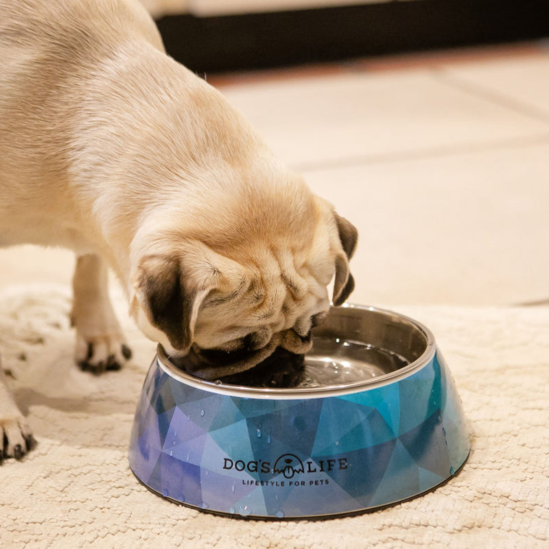 Dog's Life Stainless Steel Melamine Dog & Cat Bowl