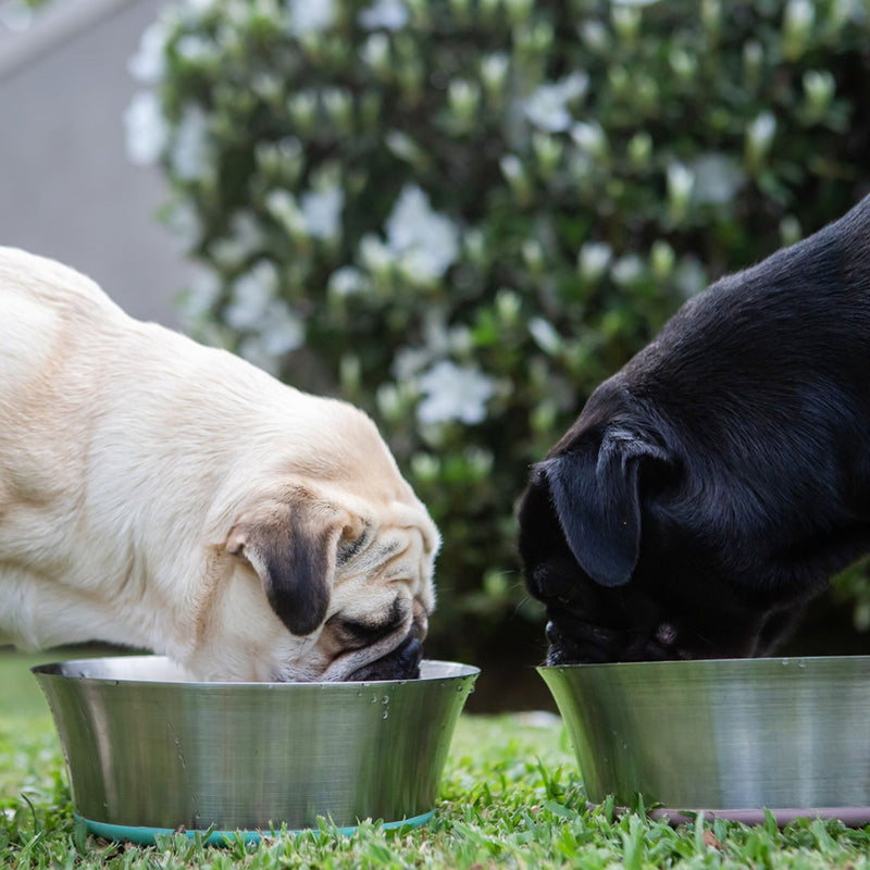 Dog's Life Stainless Steel Dog & Cat Bowl