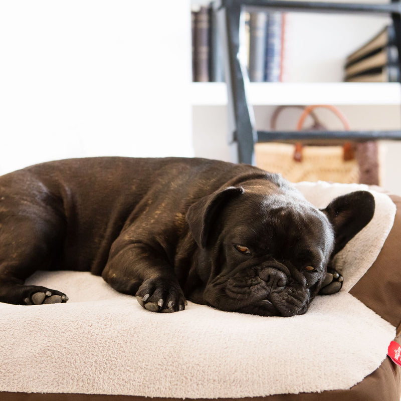 Dog’s Life Slumber Sofa Bed