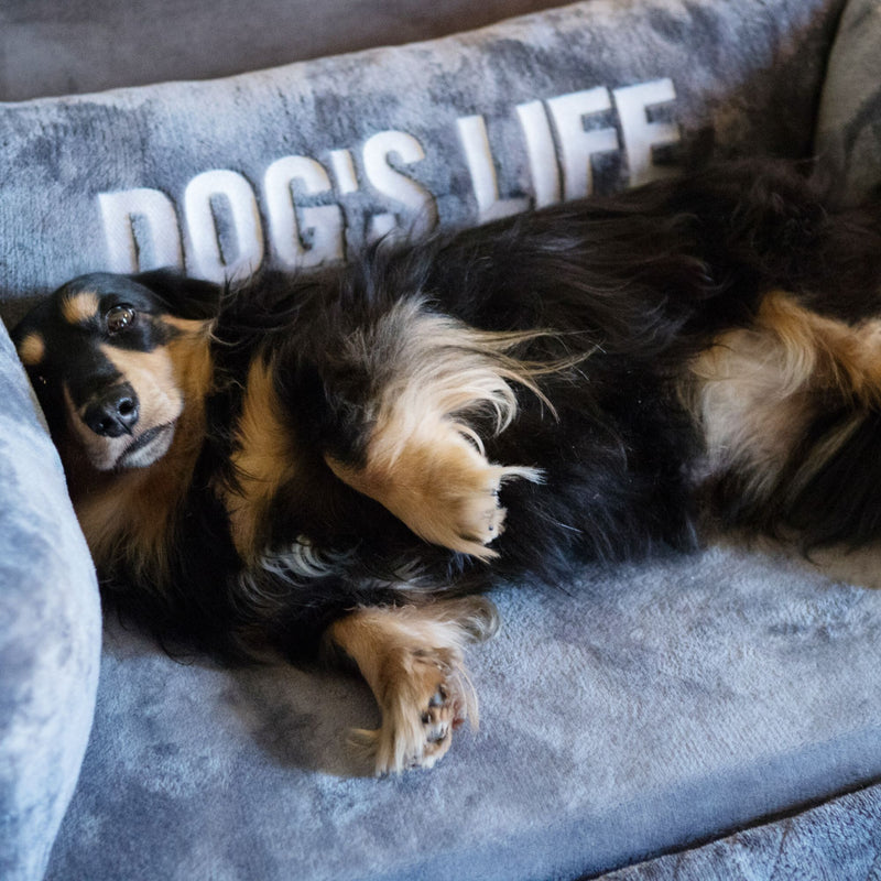 Dog’s Life Explorer Sofa Pet Cover
