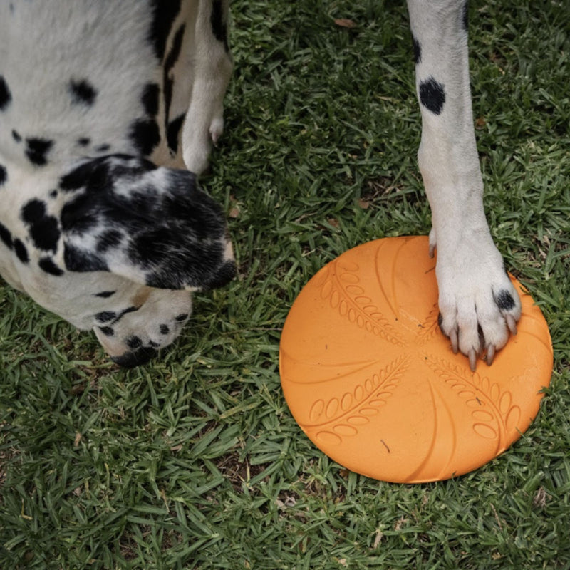 Zugo Aeroglide EVA Toy