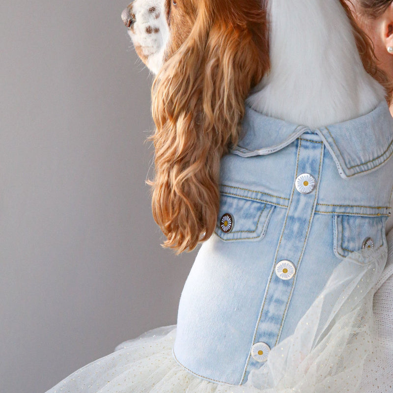 Dog's Life Denim Pawty Dress