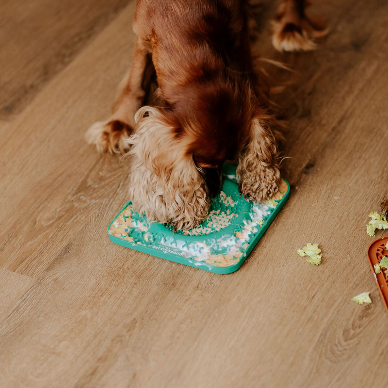 Dog's Life Lickalot OOXX Slow Feed Enrichment Mat for Dogs