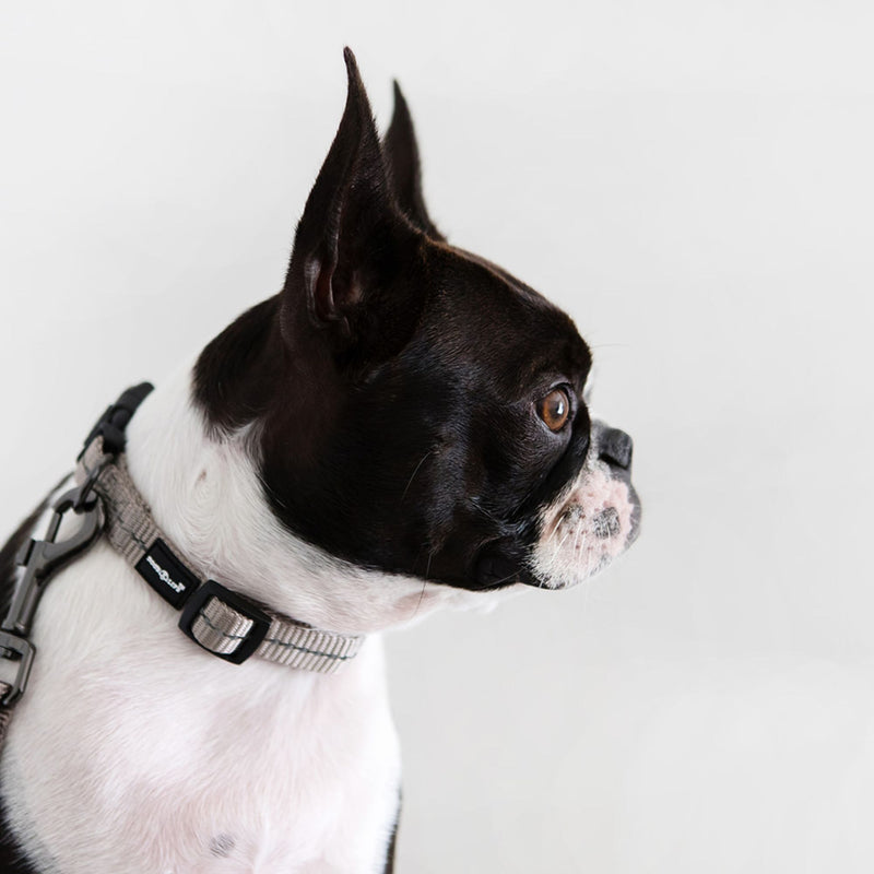 Dog's Life Supersoft Designer Webbing Comfortable & Reflective Dog Collar