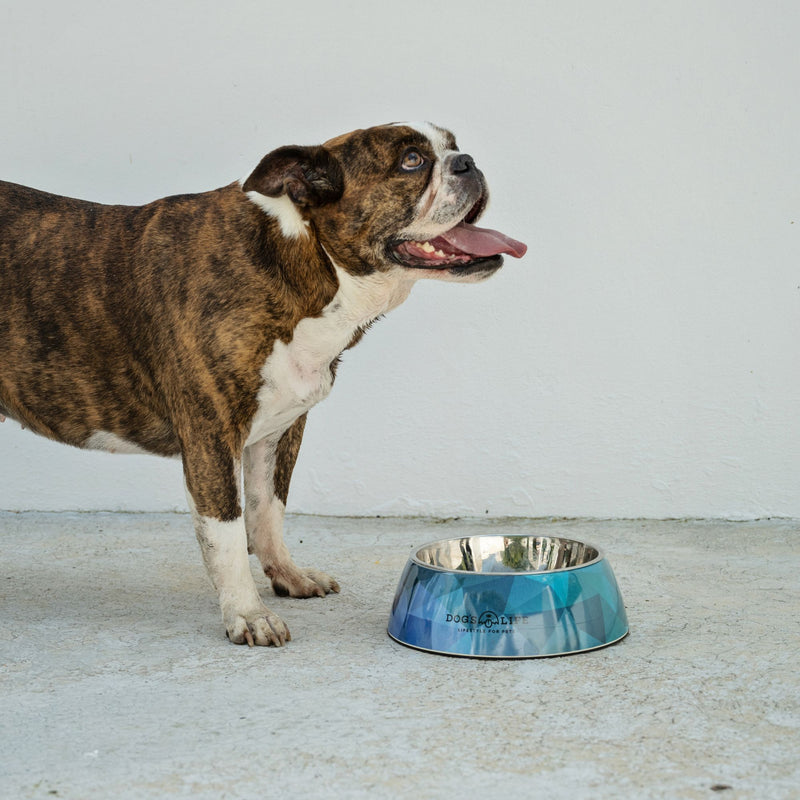 Dog's Life Stainless Steel Melamine Dog & Cat Bowl