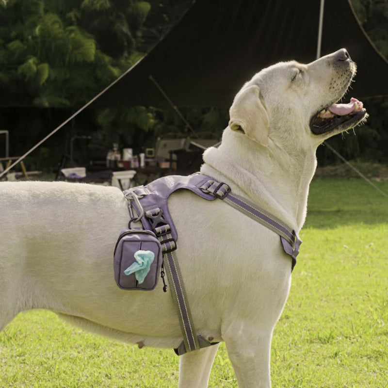 Doco Vertex Outdoor Bag Iceland