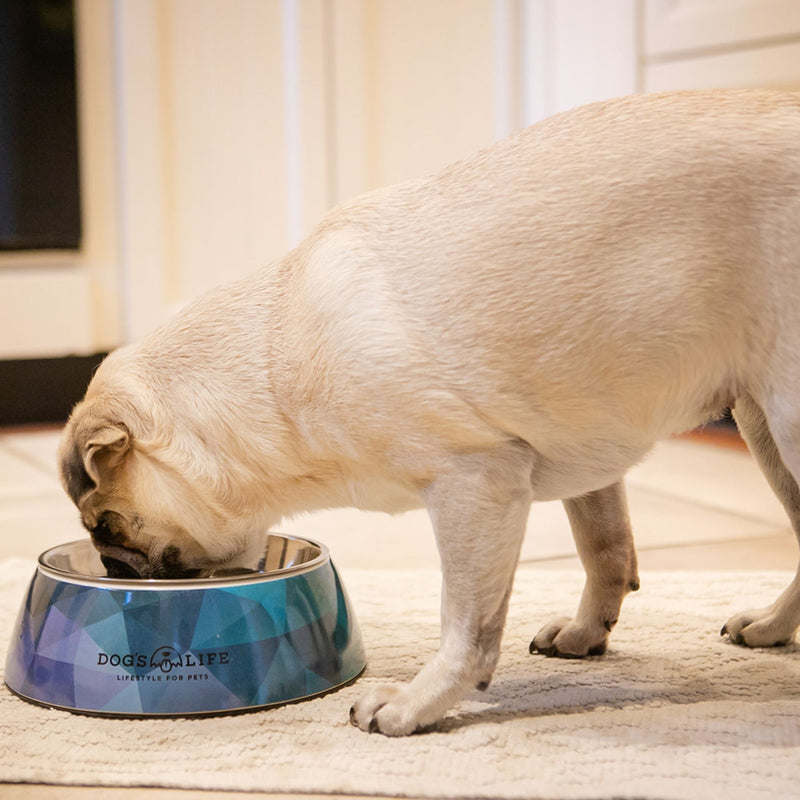 Dog's Life Stainless Steel Melamine Dog & Cat Bowl