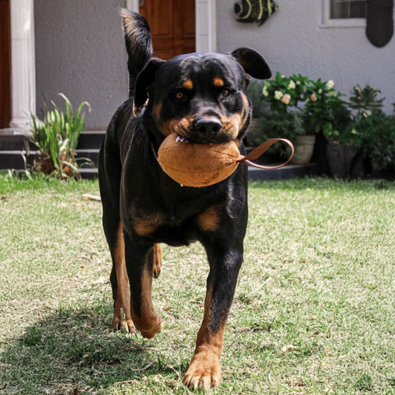 Zugo Plushball Plush Toy