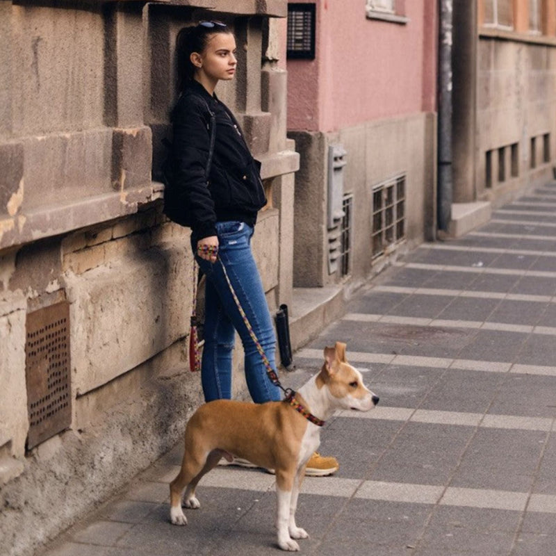 DOCO® Loco Eco-Friendly Patterned Dog Leash