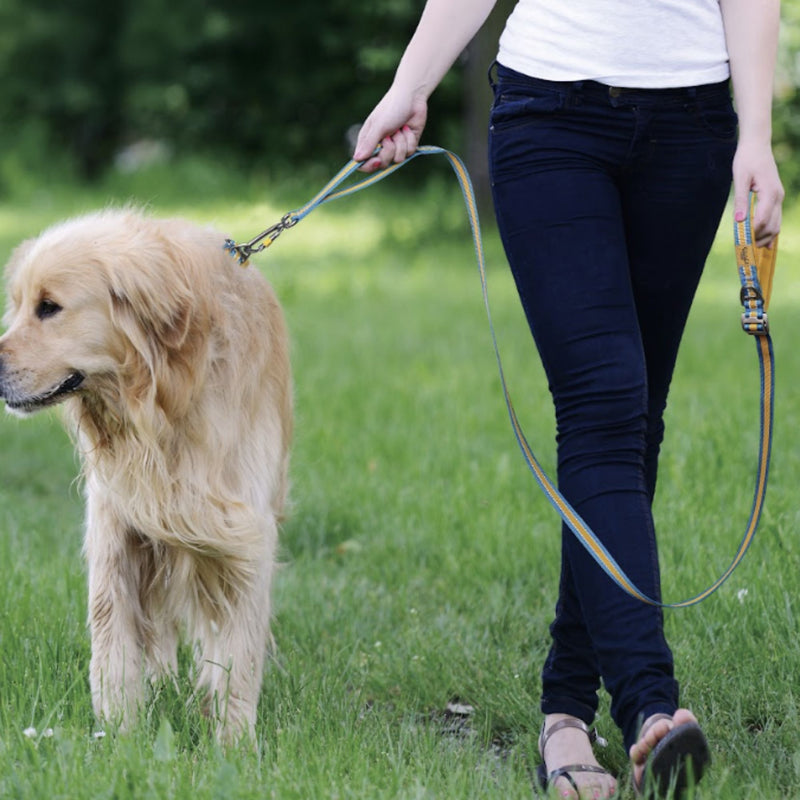 DOCO® Vertex Double Handle Dog Leash