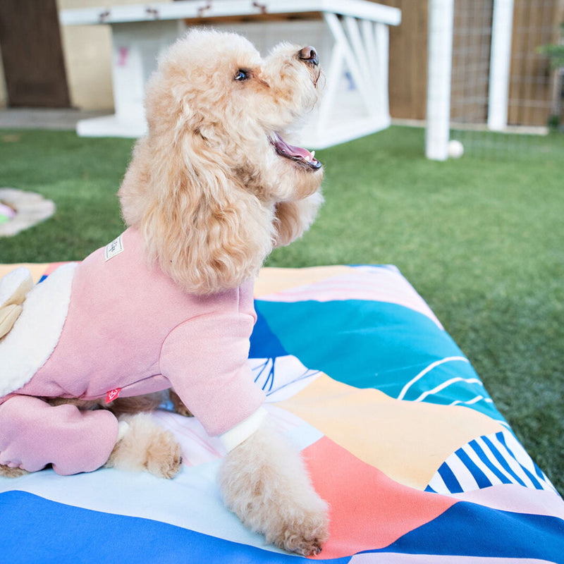 Dog's Life Outdoor Box Pad Pillow Bed